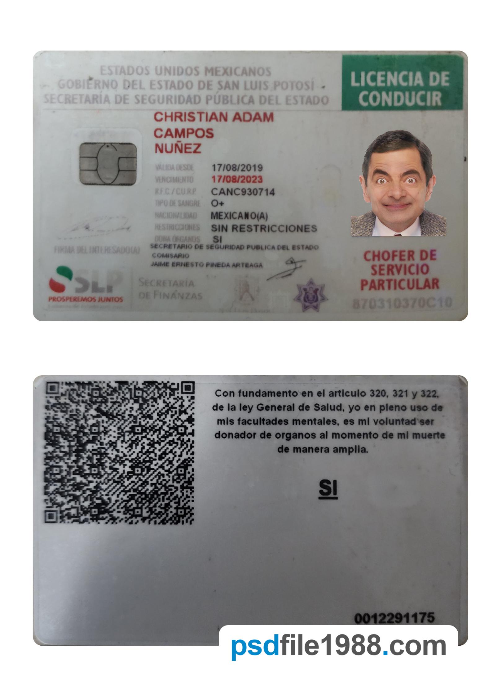 Mexico Driving License 2019-Present